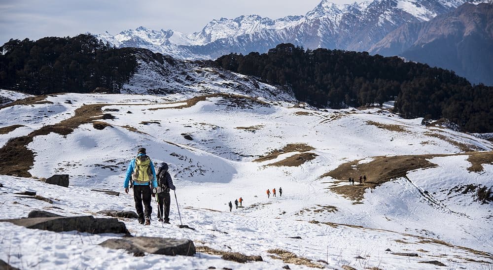 Kuari Pass Trek in Uttarakhand, snow-capped peaks and trekking