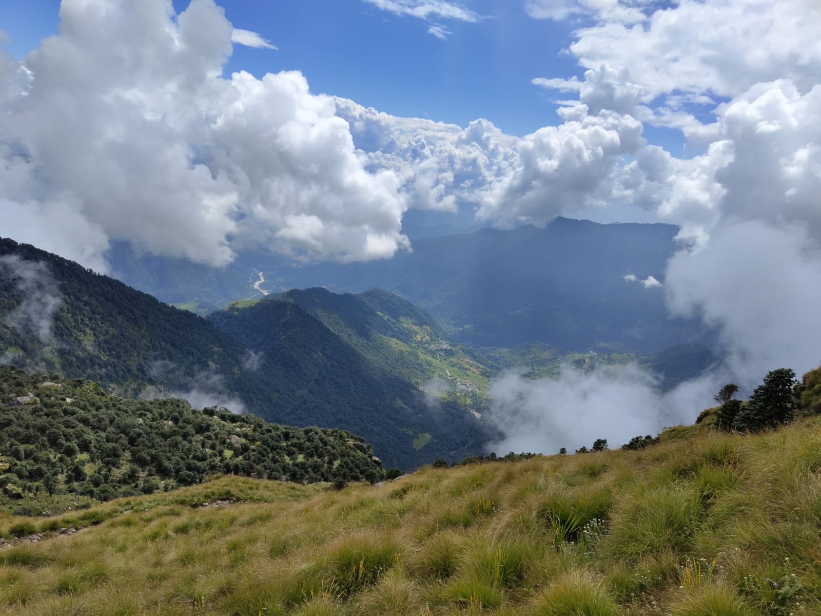 Panar Bugyal meadow on Rudranath trek route