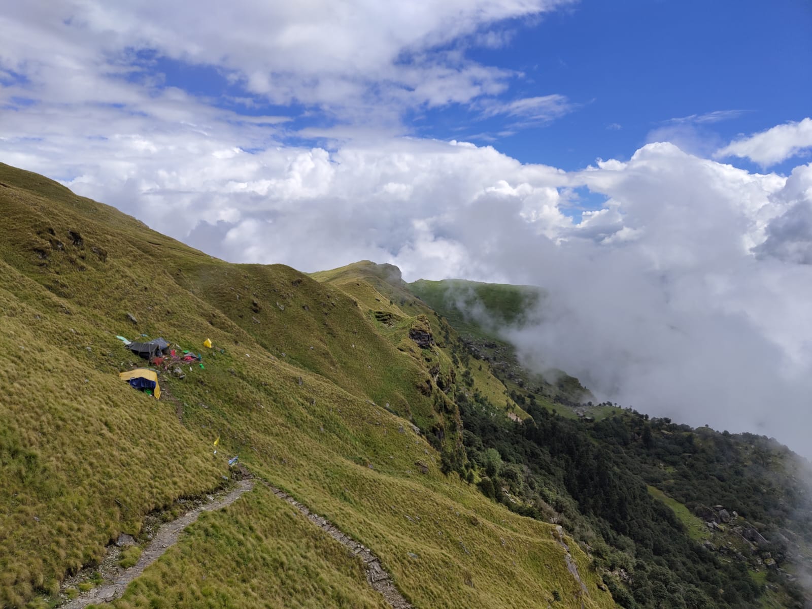 Rudranath trekking trail through alpine meadows