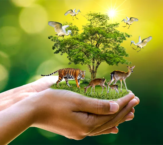 Guide explaining Himalayan flora and fauna